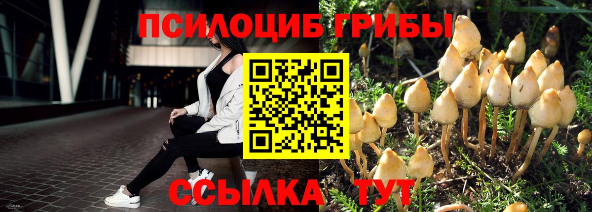 Псилоцибиновые грибы ЛСД  дарнет шоп  Туапсе  Вход с VPN 