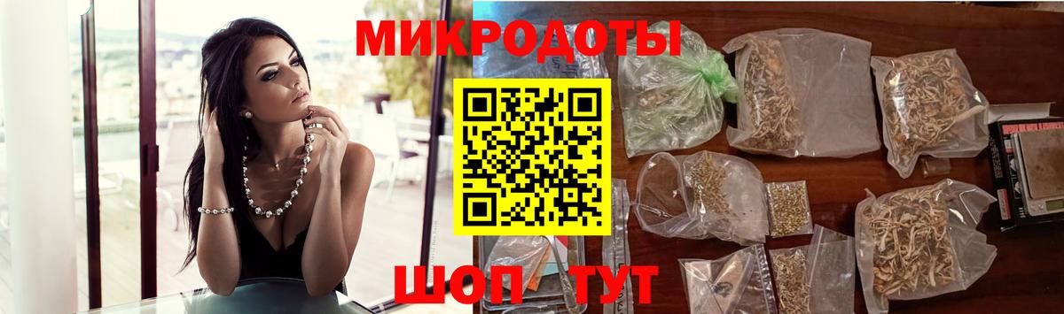 Псилоцибиновые грибы Psilocybe Туапсе