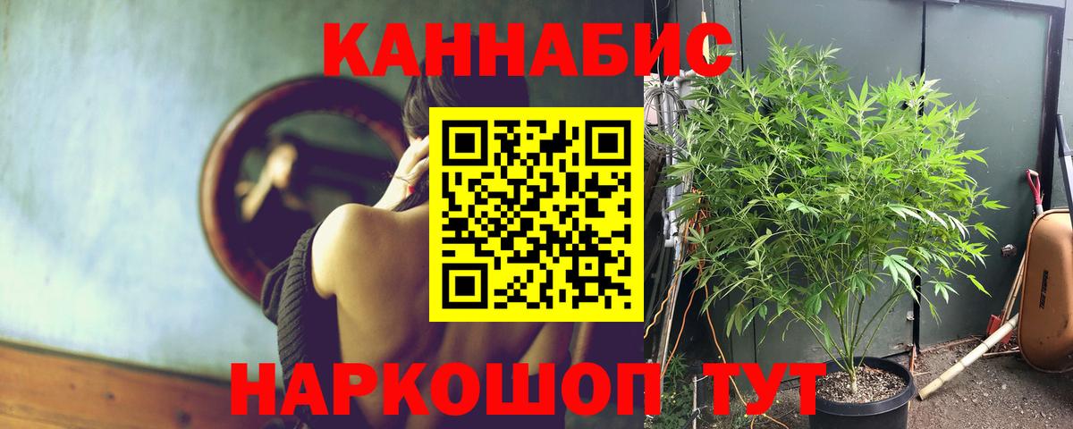 Бошки Шишки ГИДРОПОН  Марихуана план  Шишки марихуана семена  Марихуана White Widow  Вход с VPN  Туапсе 
